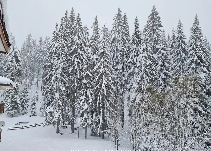 NordenPamporovo